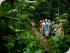 Daintree Walkabout -