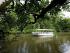 Daintree Walkabout -