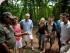 Daintree Walkabout -