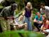Daintree Walkabout -