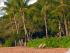 BC - Beach Club - Palm Cove Beach