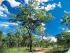 Undara Lava Lodge - 
