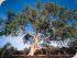 Undara Lava Lodge - 