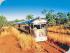 Undara Lava Lodge - 