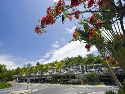 Coconut Grove - 