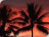 Club Tropical Resort -