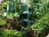 Club Tropical Resort -