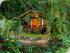 Kewarra Beach Resort -