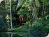 Kewarra Beach Resort -