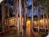 Kewarra Beach Resort -