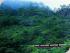 A1R-Kuranda & Rainforestation - New Image