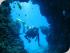Coral Sea Dreaming -