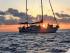 Coral Sea Dreaming -