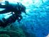 Coral Sea Dreaming -