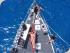 Coral Sea Dreaming -