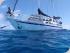 Coral Sea Dreaming -