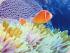 Whitsunday Getaway - 