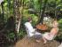 Daintree Cascades Cottage -