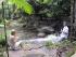 Daintree Cascades Cottage -