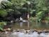 Daintree Cascades Cottage -
