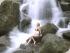 Daintree Cascades Cottage -