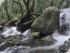 Daintree Cascades Cottage -
