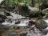 Daintree Cascades Cottage -