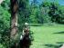 Dunk Island Resort - 