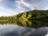 Daintree River Experience -