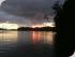 Daintree River Experience -