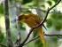 Daintree River Experience -