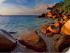 Fitzroy Island Day Tour -