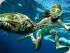 Fitzroy Island Day Tour -