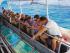 Fitzroy Island Day Tour -