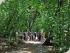 Green Island Resort -