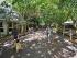 Green Island Resort -
