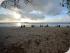 Green Island Resort -