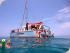 Reef Daytripper - 