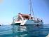 Reef Daytripper - 