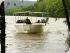 Billy Tea Bush Safaris -