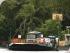 Billy Tea Bush Safaris -