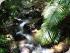 Billy Tea Bush Safaris -