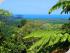 TH- Cape Trib & Daintree -