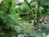 Daintree Secrets - Unique Features