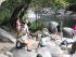 TH- Cape Trib & Daintree -