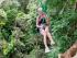 Jungle Canopy Surfing -