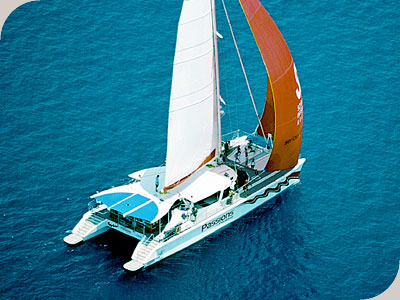 Passions Of Paradise - 