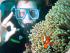 Passions Of Paradise -