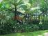 Lake Tinaroo Terraces -