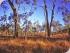 Jabiru Safari Lodge - 